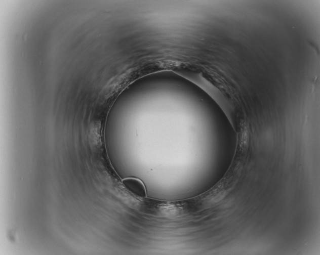 X0000102230616200808011227