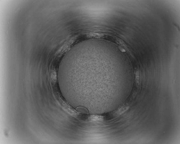 X0000102230617200808011227