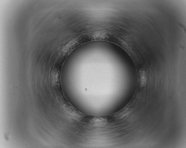 X0000102230619200808011227