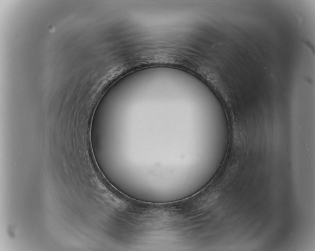 X0000102230625200808011226