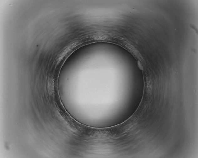 X0000102230626200808011226