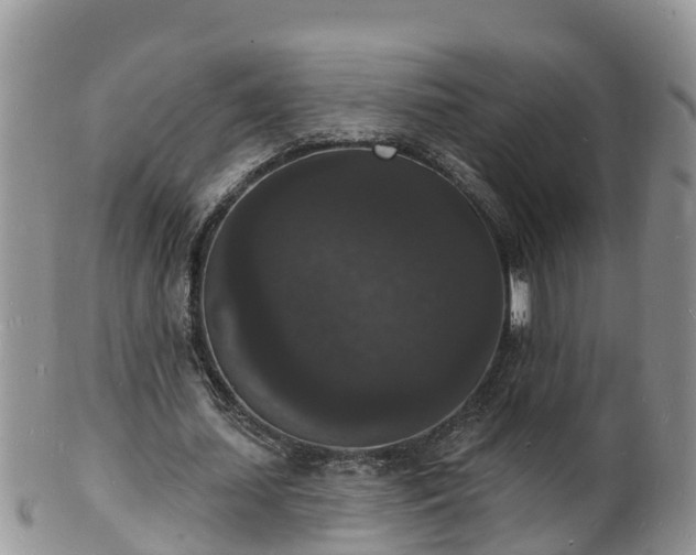 X0000102230627200808011226