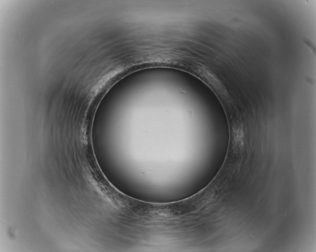 X0000102230628200808011226