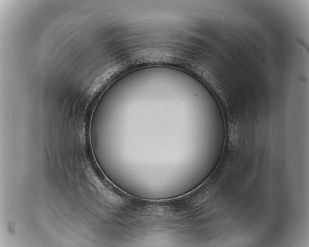 X0000102230629200808011226