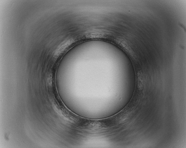 X0000102230631200808011226