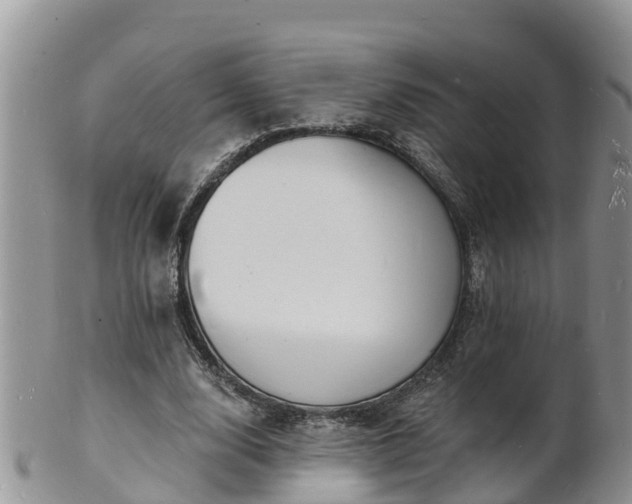 X0000102230632200808011226