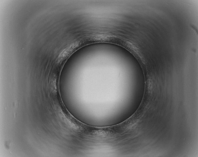 X0000102230633200808011226