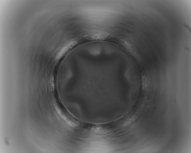 X0000102230634200808011226