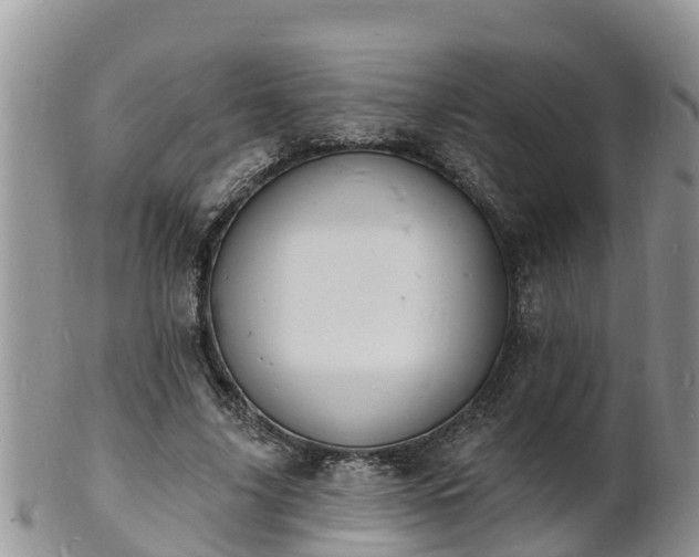 X0000102230635200808011226