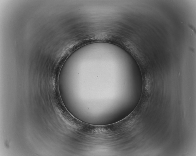 X0000102230636200808011226