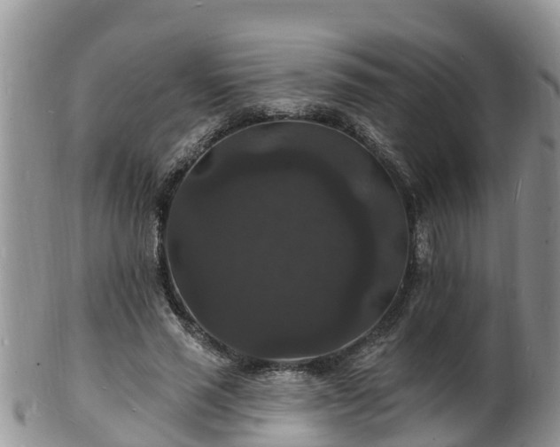 X0000102230637200808011226