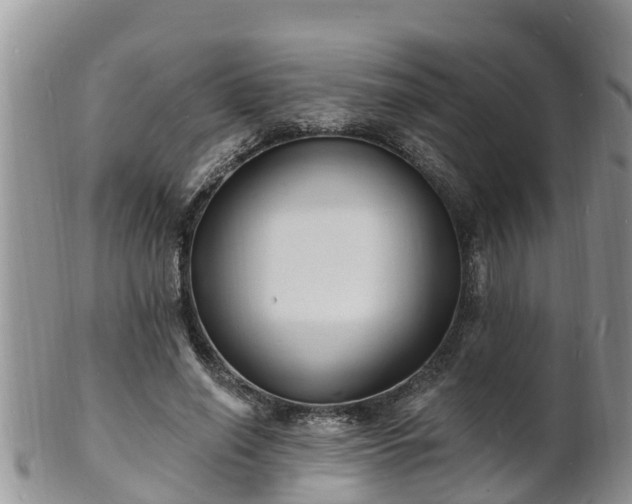 X0000102230638200808011226
