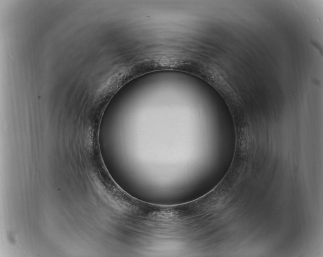 X0000102230639200808011226