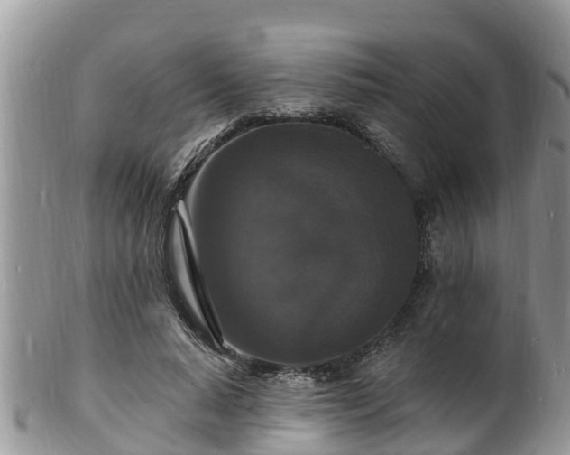 X0000102230640200808011226