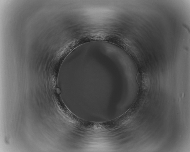 X0000102230641200808011226