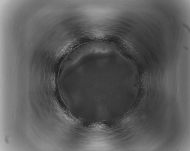 X0000102230642200808011226