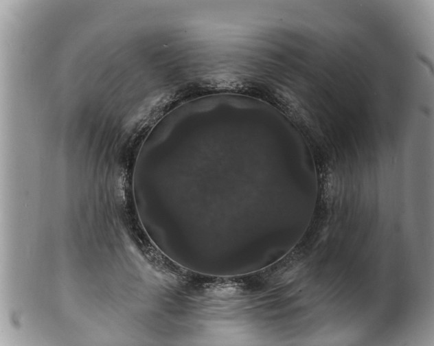 X0000102230643200808011226
