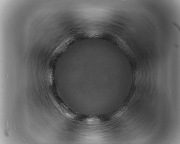 X0000102230644200808011226
