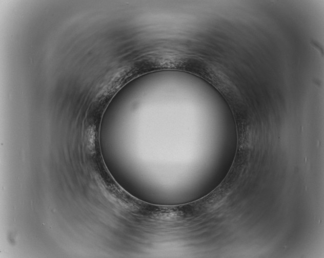 X0000102230646200808011226