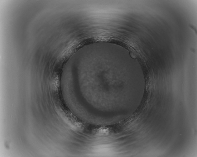 X0000102230647200808011226