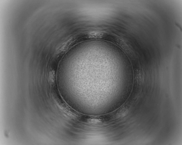 X0000102230649200808011226