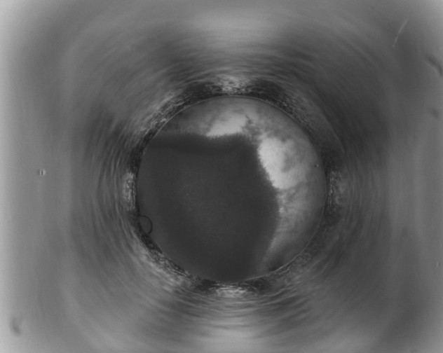 X0000102230650200808011226
