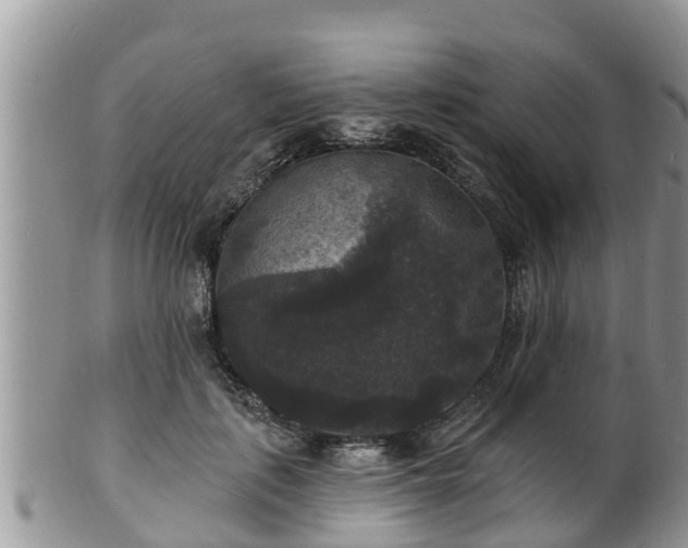 X0000102230651200808011226