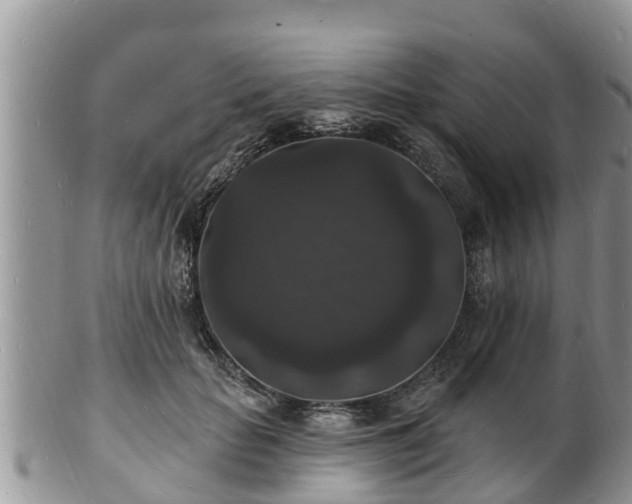 X0000102230653200808011226