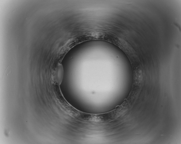 X0000102230656200808011226