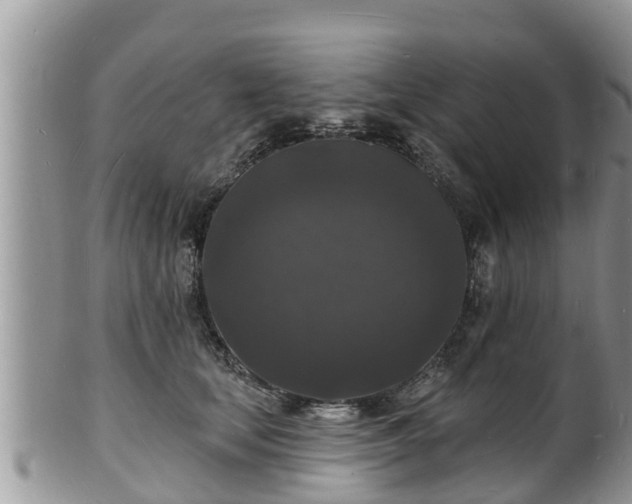 X0000102230659200808011226