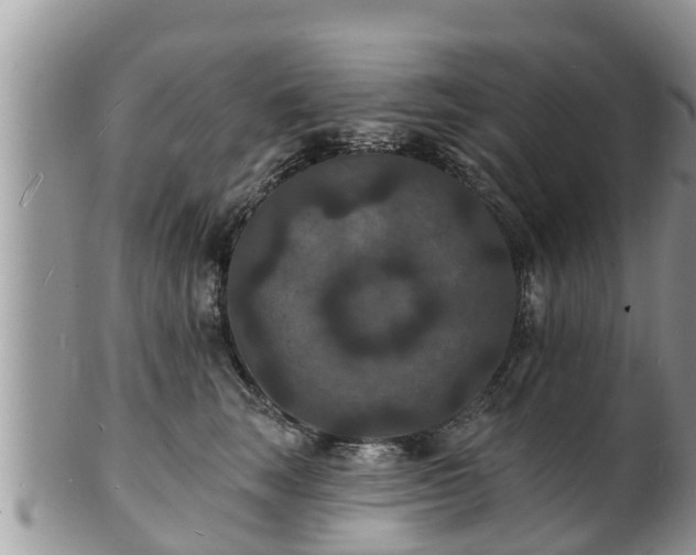 X0000102230663200808011227
