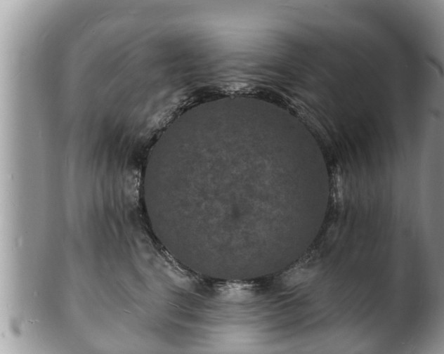 X0000102230664200808011227