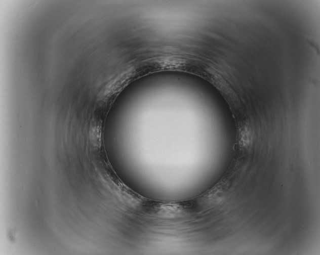 X0000102230666200808011227