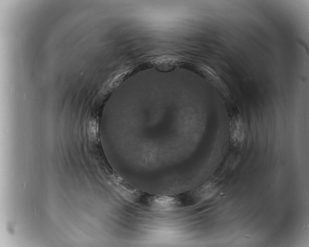 X0000102230669200808011227