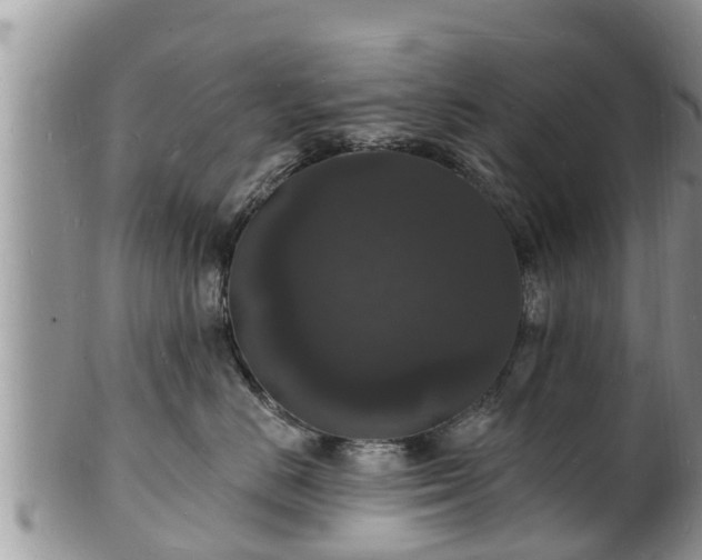 X0000102230670200808011227