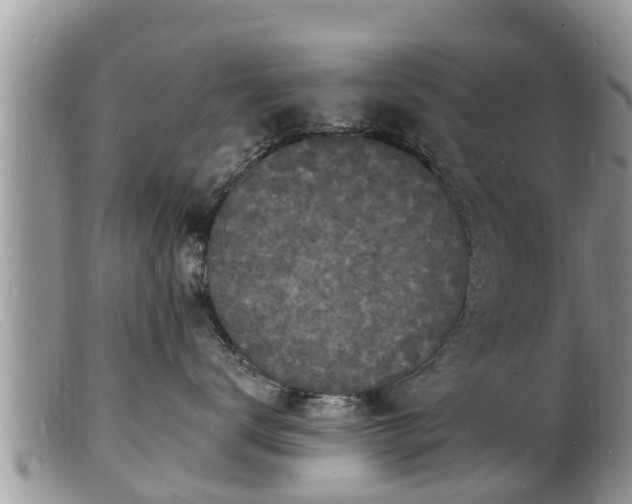 X0000102230672200808011227
