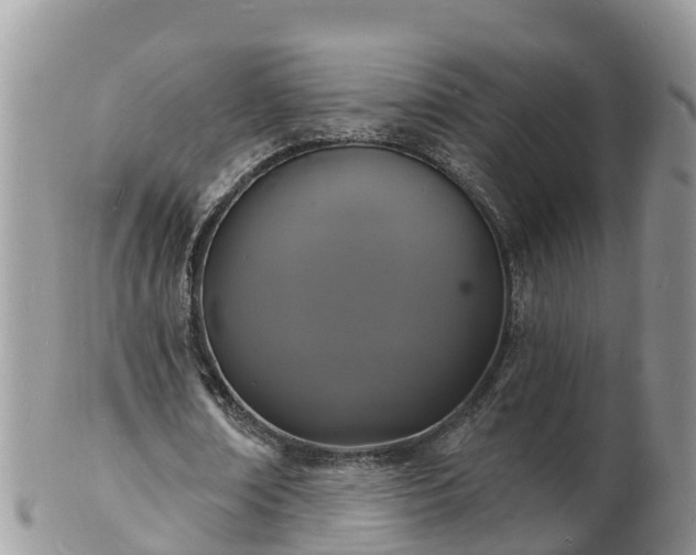 X0000102230674200808011226