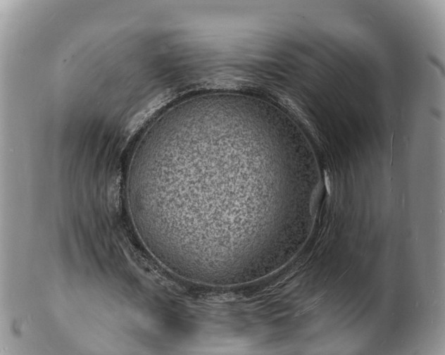 X0000102230675200808011226