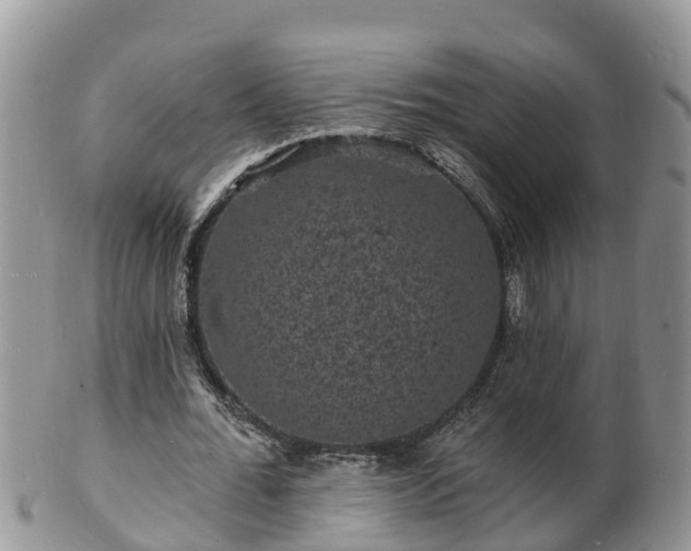X0000102230676200808011226