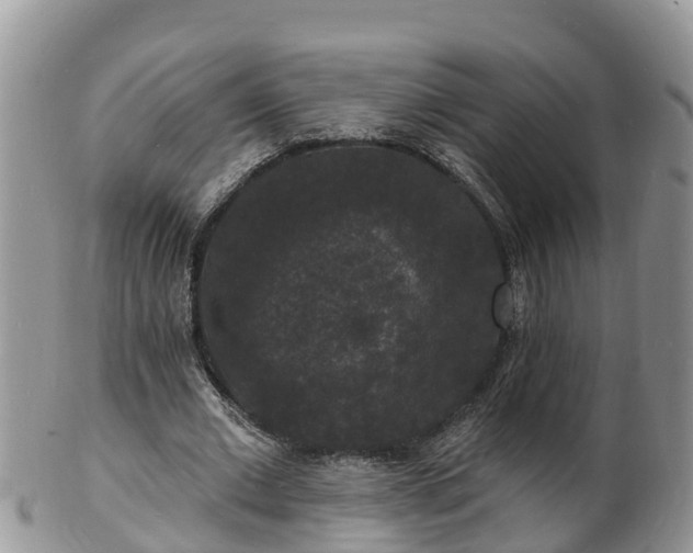 X0000102230677200808011226