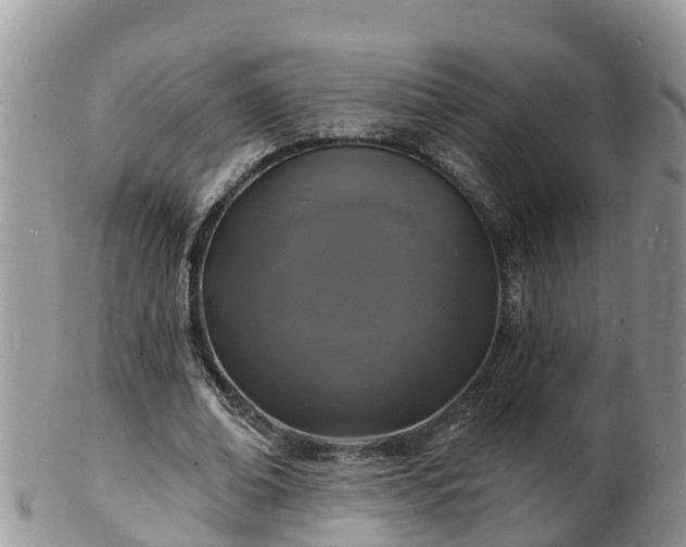 X0000102230678200808011226