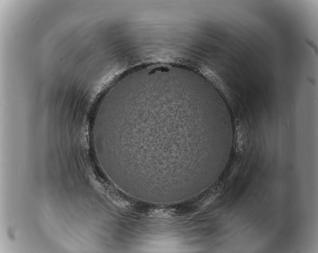 X0000102230680200808011226