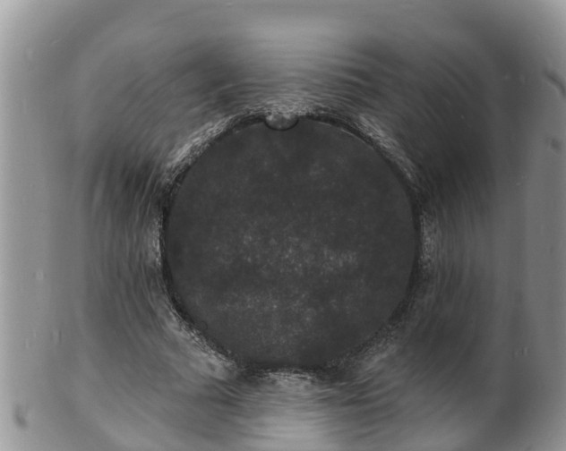 X0000102230681200808011226