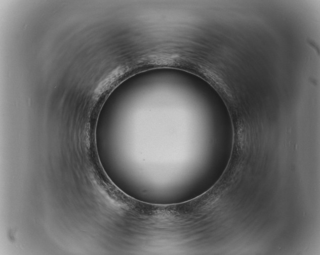 X0000102230682200808011226