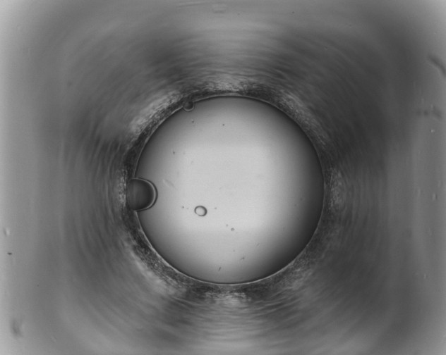 X0000102230683200808011226