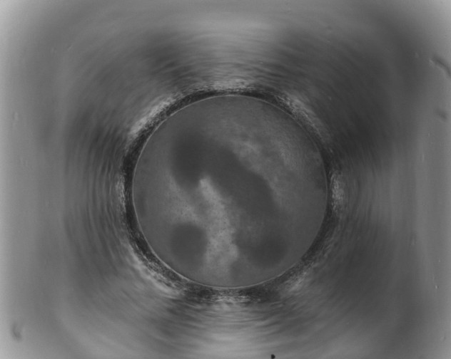X0000102230684200808011226
