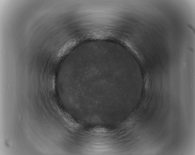 X0000102230685200808011226