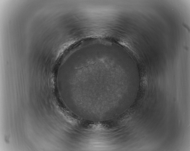 X0000102230688200808011226