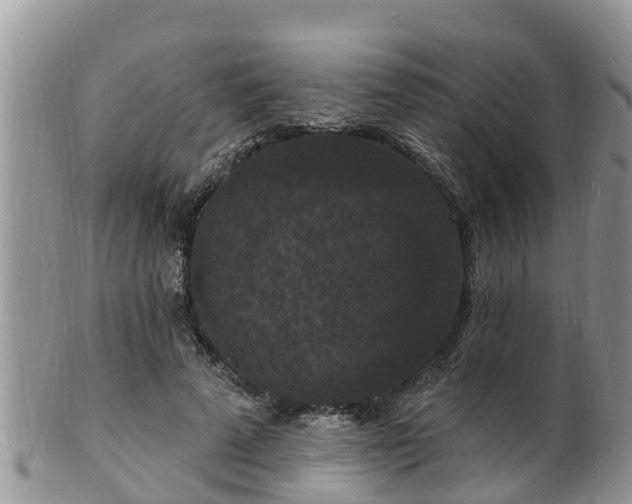 X0000102230689200808011226
