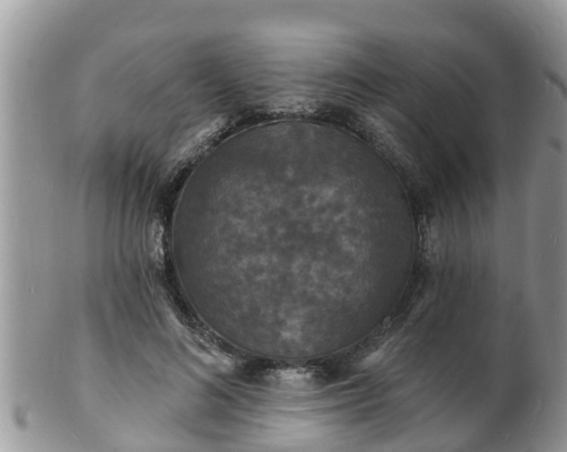X0000102230692200808011226